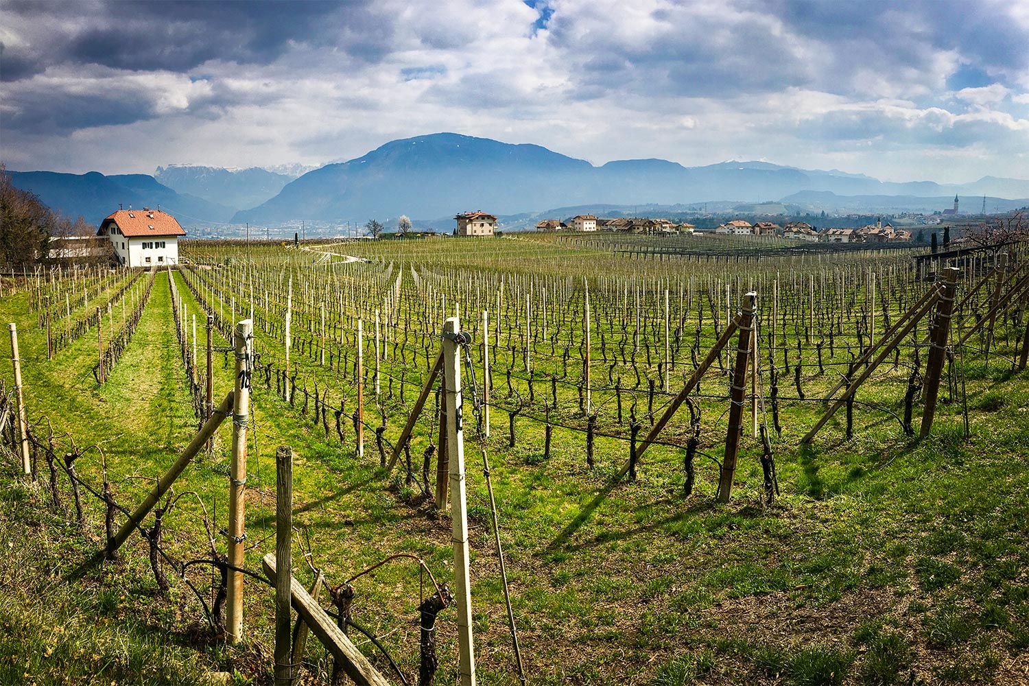 South Tyrol Wine Road