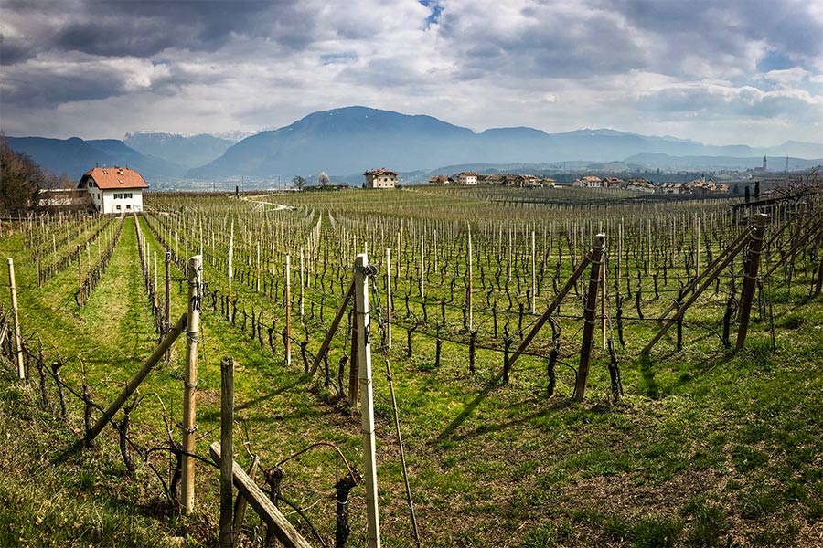 South Tirol Wine Road